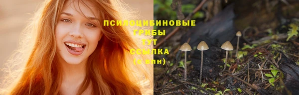 прущая мука Нея